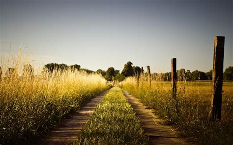 nature, Grass, Road Wallpapers HD / Desktop and Mobile Backgrounds