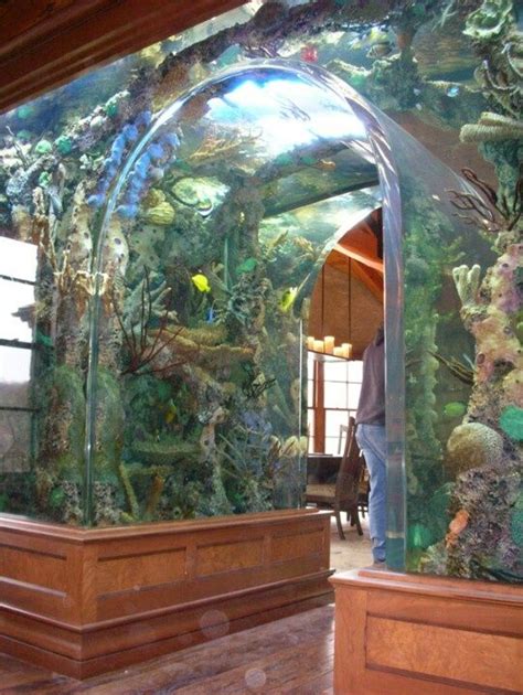 tanked tv show | Tanked tv aquarium entry way http://the-pet-chest.com/ | Aquariums | Pinterest ...