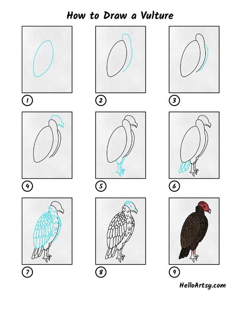 How to Draw a Vulture - HelloArtsy