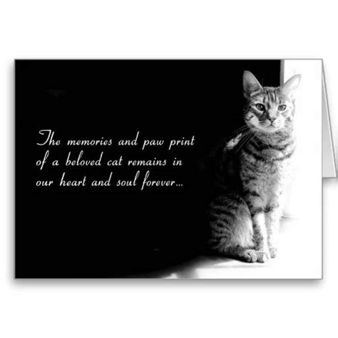 Pet Loss Quotes Cats. QuotesGram