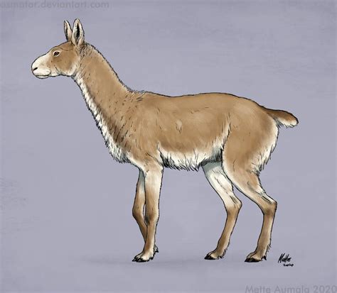 Spectember: Arctic rabbuck by Osmatar on DeviantArt in 2022 | Prehistoric animals, Animals ...