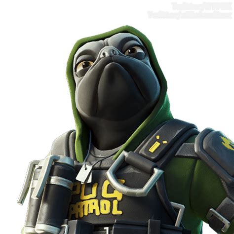 New Fortnite v12.00 Aura, Guild, Doggo Skin Styles Leaked - Fortnite Insider