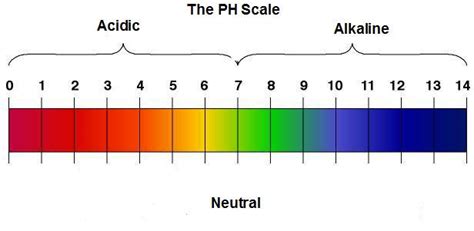 ph scale « Abundant Health Center | Blog