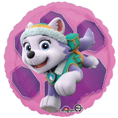 Paw Patrol Skye and Everest 18" Balloon (Each) - Walmart.com