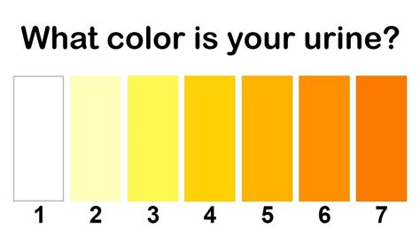 The Color Of Your Urine Reveals About Your Health Issues. Must Know!!