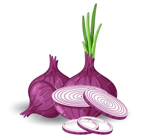 Free Vector | Isolated red onion cartoon