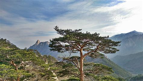 Impressions from Seoraksan National Park