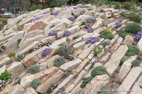 Rock Alpine Garden-Crevice Garden-Mike Kintgen-Denver Botanic Gardens ...