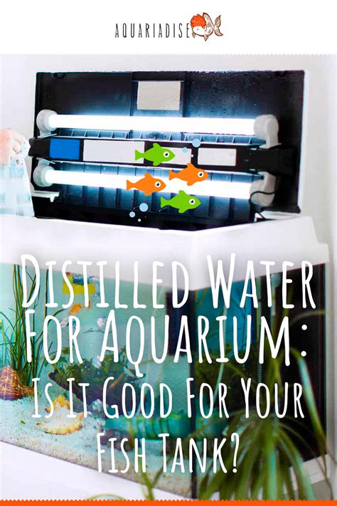 Distilled Water for the Aquarium: In-Depth Aquarist's Guide