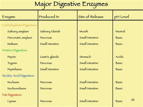 Enzymes