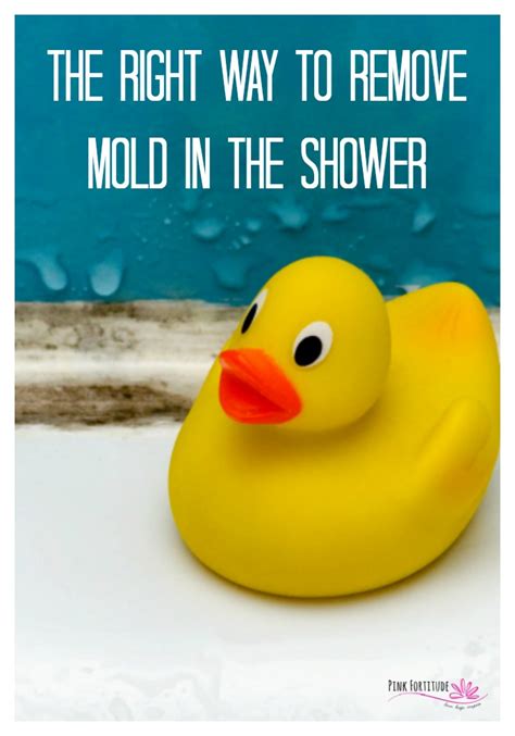 The Right Way to Remove Mold in the Shower - Pink Fortitude, LLC