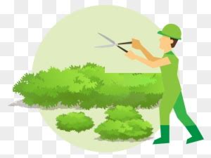 Man Trimming A Hedge Royalty Free Vector Clip Art Illustration - Clip Art Library