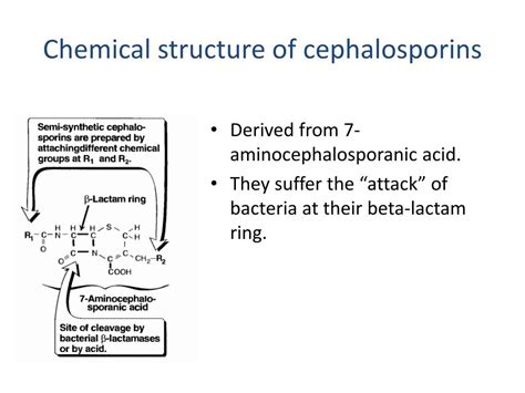 PPT - Pharmacology of Cephalosporins : General Overview PowerPoint Presentation - ID:5699932