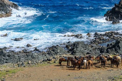 Aruba National Park | Exciting Arikok Sights & Activities