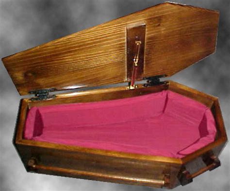 Sweet Dreams: 15 Bizarre Beds (PICTURES) | Bed designs pictures, Coffin ...