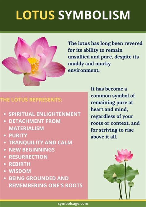 Lotus Flower Meaning: Purity, Enlightenment, and Resilience