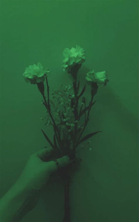 green aesthetics on Tumblr