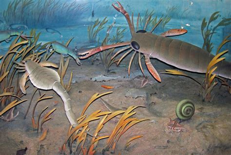 10 Bizarre Beasts That Roamed the Carboniferous Waters - Owlcation