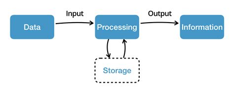 The Information Processing Cycle - CSE AND EEE HELP