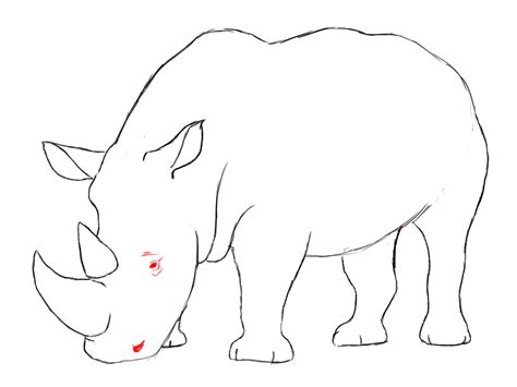 Sea rhinoceros drawing - limothai