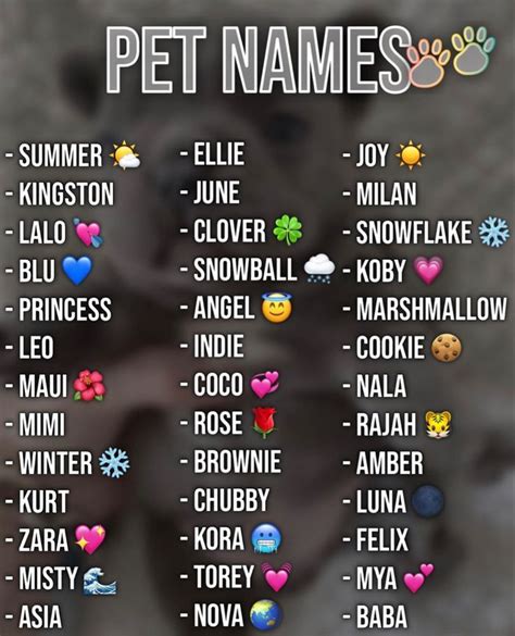 ℙ𝕚𝕟𝕥𝕖𝕣𝕖𝕤𝕥: 𝕓𝕠𝕦𝕛𝕖𝕓𝕒𝕣𝕓 🎃 | Nomes para cachorros, Nomes de animais, Nomes ...