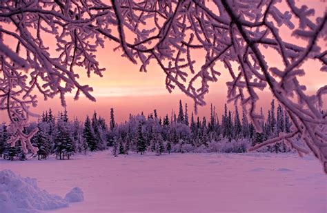 Pink Snow Wallpapers - Top Free Pink Snow Backgrounds - WallpaperAccess