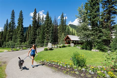 5 Reasons to Visit Sun Peaks in Summer | Sun Peaks Resort