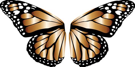 Butterfly Wings PNG Transparent Images - PNG All