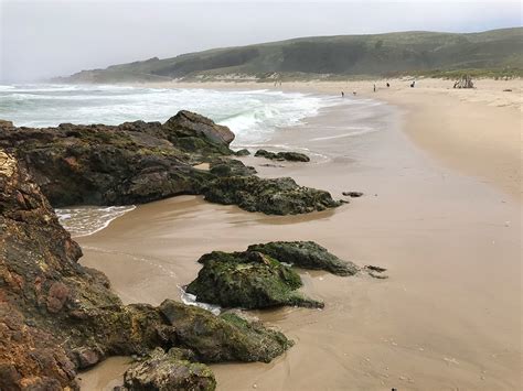 Sandy Pescadero State Beach On California's Highway One