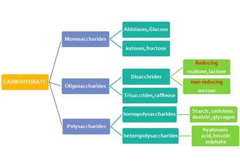 Carbohydrate Metabolism - Focus Dentistry