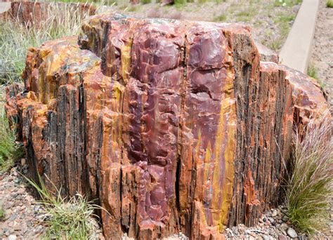 Free Images : rock, wood, formation, arch, terrain, material, arizona ...