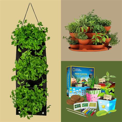 8 Best Indoor Herb Garden Kit Options Anyone Can Grow 2024