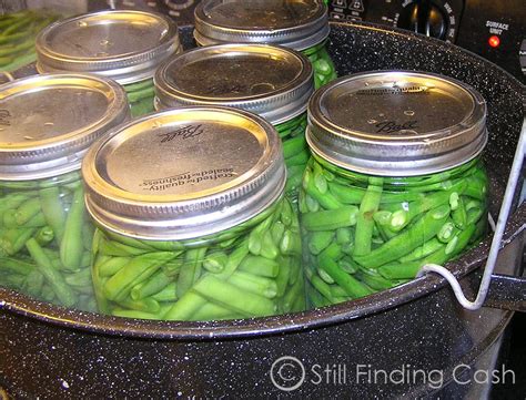 Still Finding Cash: Canning - No Pressure Green Beans