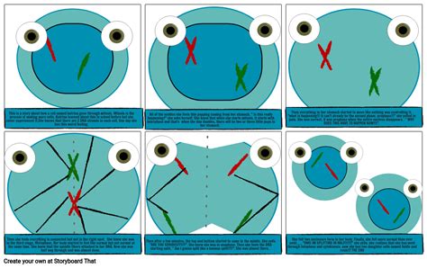 mitosis Storyboard por 43e46f48