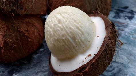 What Is Sprouted Coconut? - The Coconut Mama