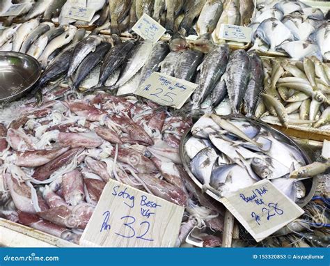 Various Types of Fish in the Fish Market are Displayed for Sale. Stock Image - Image of market ...