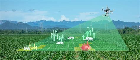 How Drones Are Growing the Agricultural Industry with Soil Analysis