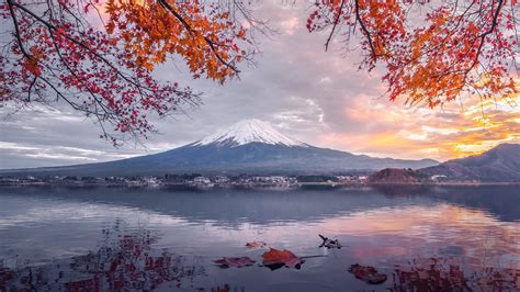 Mount Fuji at fall - backiee