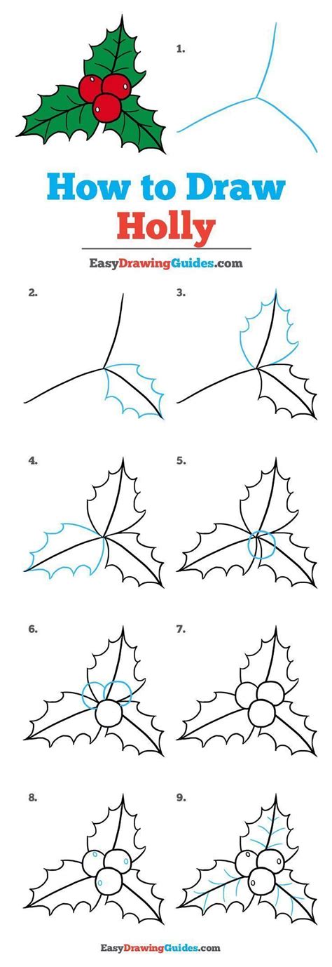 How to Draw Holly | Easy christmas drawings, Christmas drawing, Christmas doodles