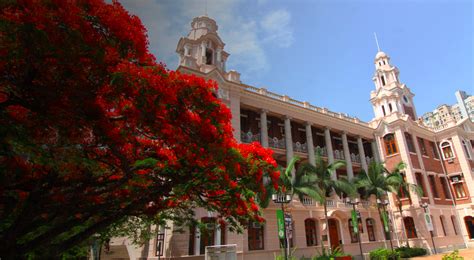 香港的大学校园中有哪些值得一看的风景？ - 知乎