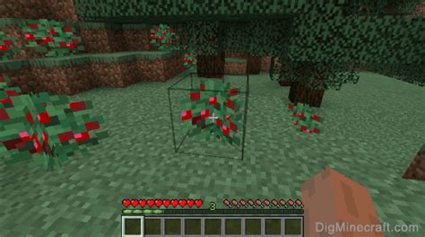 How to make Sweet Berries in Minecraft