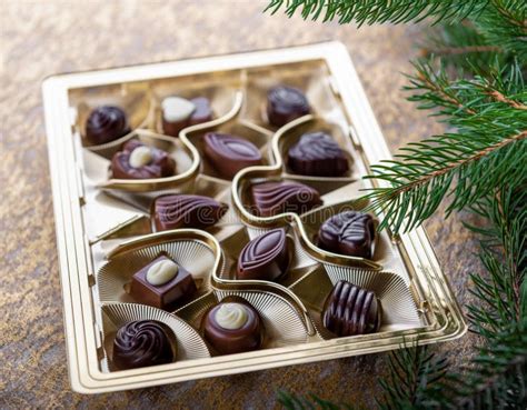 Belgian Chocolate Pralines in Golden Box Stock Photo - Image of bonbon ...