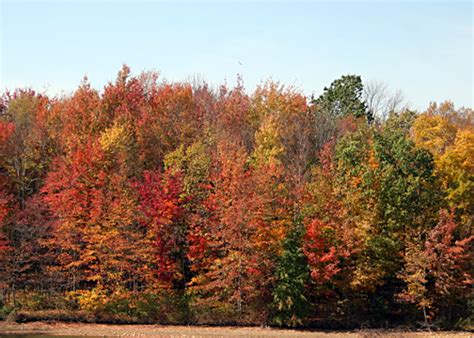 Autumn Hike – Pardon the Garden