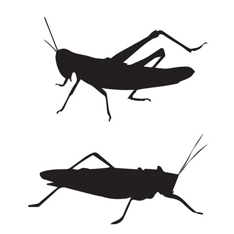 Grasshopper Silhouette Art 7243107 Vector Art at Vecteezy