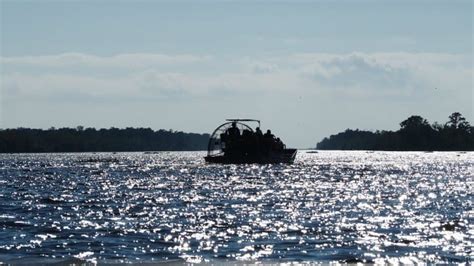 Louisiana Oysters and Airboat Tours New Orleans Style