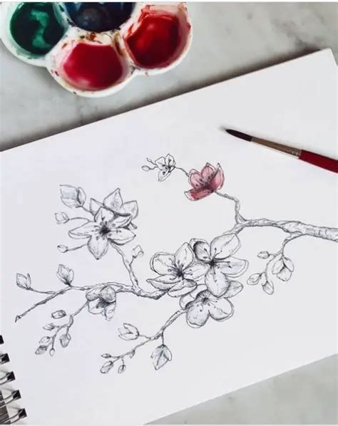 30 Splendid Cherry Blossom Drawings & Illustrations To Love