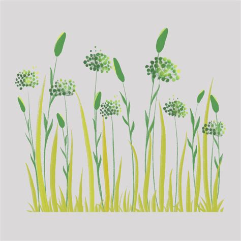 Wildflowers isolated background 48729659 Vector Art at Vecteezy