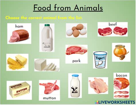 Food From Animals worksheet