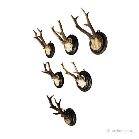 A set of six antique Black Forest hunting trophies from Germany | artfour.com