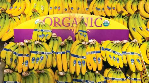 Organic Bananas Ripe For Growth - Produce Business